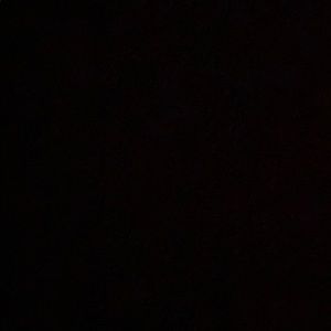 Meet your Posher, Javier